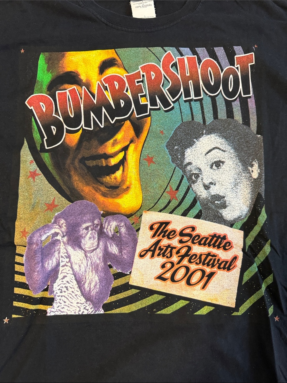 Ultra Rare - 2001 Seattle Bumbershoot Music & Art Festival Graphic T-Shirt